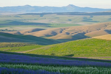 Rolling Hills in Bloom Rolling green hills covered in wildflowers stretching into the distance under a golden sunrise