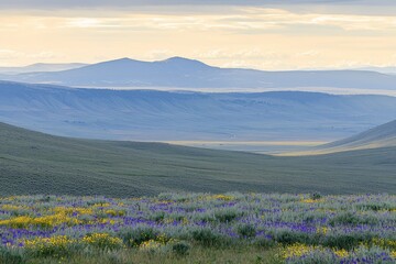 Obraz premium Rolling Hills in Bloom Rolling green hills covered in wildflowers stretching into the distance under a golden sunrise