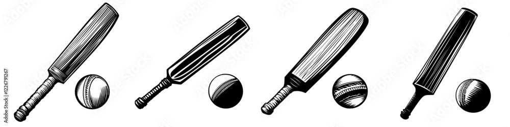 Poster different types of cricket bats and balls arranged in a sequential pattern showcasing their features