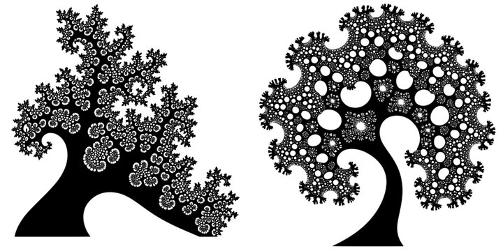 Fototapeta Intricate black and white fractal trees displaying unique patterns and shapes in a minimalist style