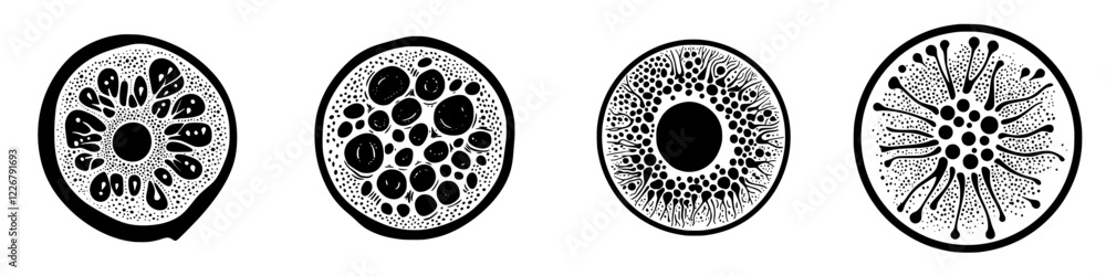 Poster exploration of intricate circular patterns resembling cross-sections of various natural substances i