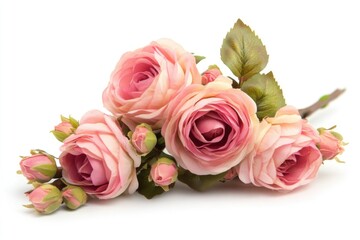 Obraz premium A bouquet of fresh pink roses placed on a clean white background