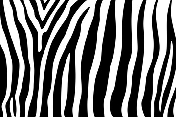 abstract zebra line leather skin illustration design background vector art