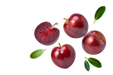 Plum isolated