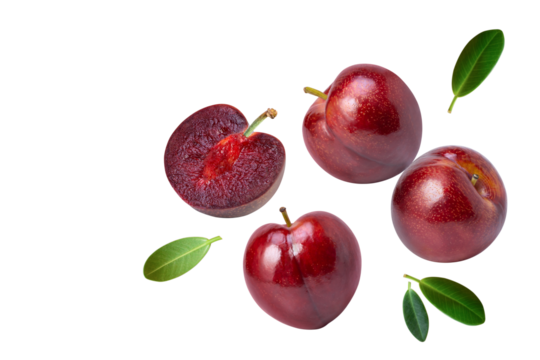 Plum isolated