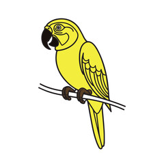 Fototapeta premium This is a simple line drawing of a yellow parrot perched on a branch. The parrot is facing left, with its features outlined in black. The drawing is on a white background.