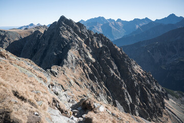 Fototapeta premium Landscape of the High Tatras. The most difficult high-mountain trail in Poland, Orla Perć. 