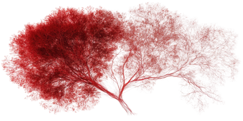 Artistic red and white tree illustration transparent background digital artwork abstract environment