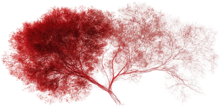 Artistic red and white tree illustration transparent background digital artwork abstract environment