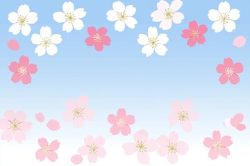 Spring Blossoms Gradient: Cherry blossoms transitioning from deep pink at the base to pale pink at the tips against a blue sky