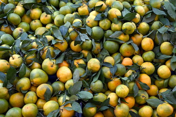 Citrus fruits on the market. Fresh citrus fruits stacked at a local fruits market.