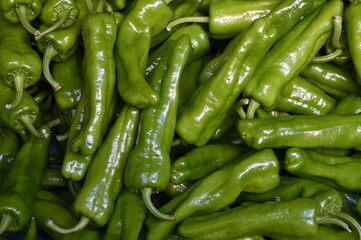 Green paprika (capsicum), fresh green bell pepper. Seamless green paprika pattern. Green pepper ,  vegetables background.