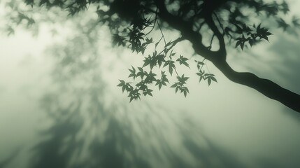 Fototapeta premium Misty forest tree branch silhouette, shadows, nature background, game design