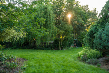 A serene garden with vibrant green grass, lush foliage, sunlight streaming through the trees.