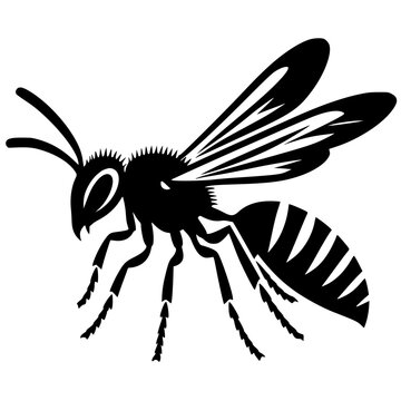 black wasp flying side view clip art preview