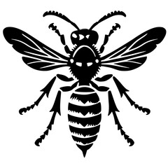 Silhouette of a wasp