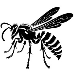 Silhouette of a wasp