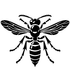 Silhouette of a wasp