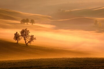 Obraz premium Spring Fog on a Meadow A misty meadow at dawn, with soft light illuminating dewdrops on the grass
