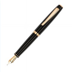 Elegant Black Fountain Pen with Gold Accents: A Sophisticated Writing Instrument for Professionals