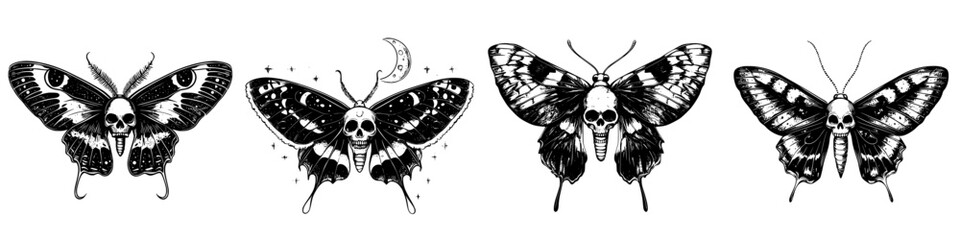 Detailed black and white moth illustrations showcasing artistic skull motifs and intricate patterns in a symmetrical arrangement