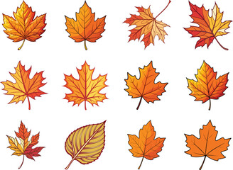 Fototapeta premium Fall Season Leaves Illustration. &nbsp;Vector Illustrations of Autumn Foliage for Creative Projects and Decorations.