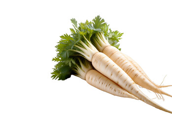 Parsnip Harvest: Fresh, vibrant parsnips with their lush green tops, freshly harvested and ready for use. A close-up shot highlighting the natural beauty and healthy appeal of these root vegetables. 