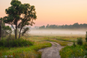 dirt road in the morning fog among fields and forest.