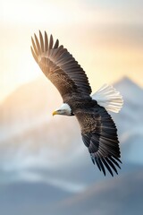 Fototapeta premium Majestic Eagle Soaring Over Mountain Landscape