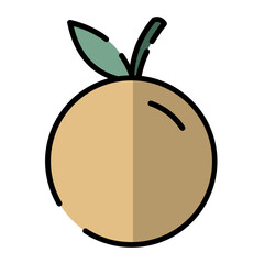 chinese new year Orange fruit icon