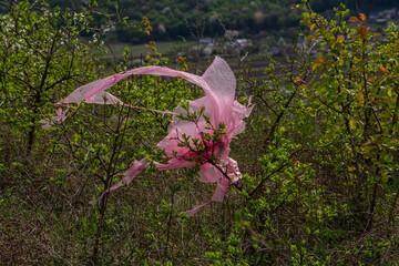 Bright pink plastic bag caught in green bushes on a sunny day in a natural landscape, showcasing...
