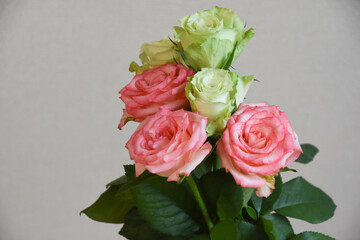 緑とピンクのばら