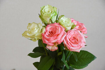 緑とピンクのばら