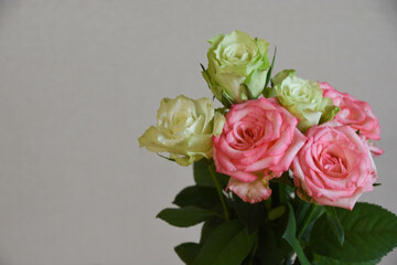 緑とピンクのばら