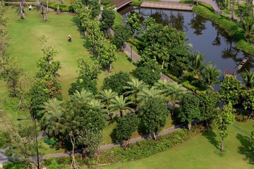 Naklejka premium Overlooking a park in Vietnam,