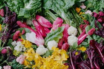 A vibrant mix of fresh salad greens, including red leaf lettuce, pink radishes, yellow mustard greens and purple cabbage, showcasing a colorful variety of vegetables.