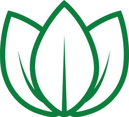 Isolated green leaf in minimalistic style