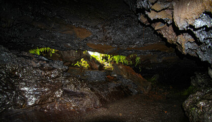 tunnel de lave à la Réunion