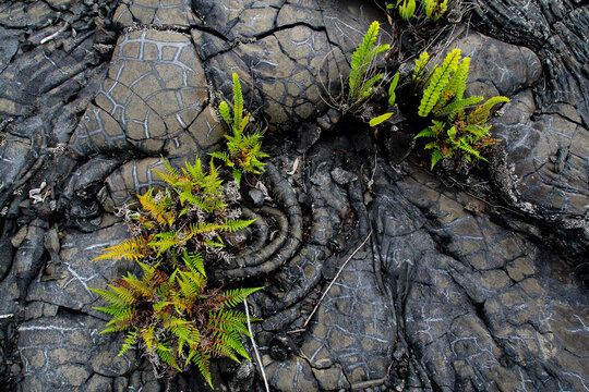 lave de la R&eacute;union