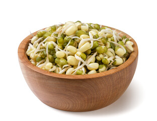Sprouted mung beans in a wooden plate close-up on a white. Isolated
