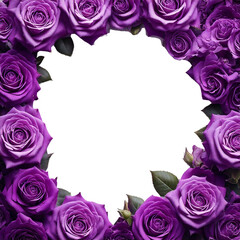 Beautiful purple roses border frame for layouts, cards, mockups, invitation etc.