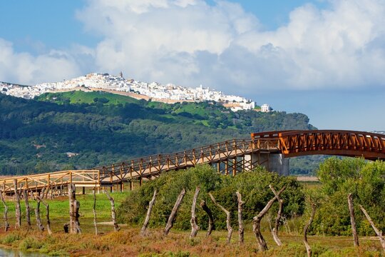 Vejer de la Frontera, historical town, viwed from the bridge in park Marisimas de Barbate. Cadiz province, Andalusia, Spain