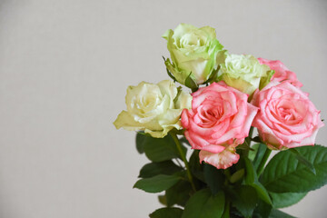 ピンクと緑のばら