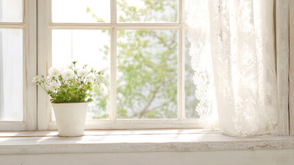 Fototapeta premium White flowers in a pot brighten a sunny windowsill at summer day
