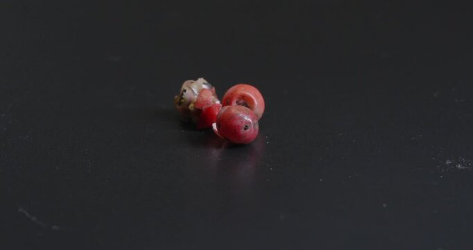 Pink berries spice, close up black backround