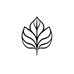 Elegant Line Art Leaf Design: Minimalist Botanical Illustration, Perfect for Logos, Icons, and Nature-Inspired Projects