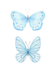 Watercolor blue butterfly collection. Hand drawn isolated illustration on white background.