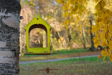 Colorful Birdhouse in Autumn: A bright yellow birdhouse hanging from a birch tree, set against a backdrop of golden autumn leaves.