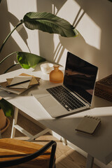 Serene home office with desk, laptop and indoor plant basking in soft natural light