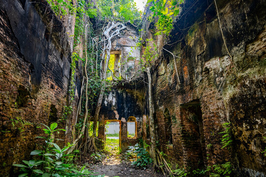 The overgrown ruins of Kirtipasha Jamindar Bari in Jhalakathi reveal a striking blend of history, nature, and light amidst decay.